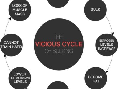 vicious cycle of bulking
