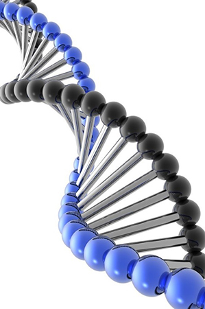 genetics DNA