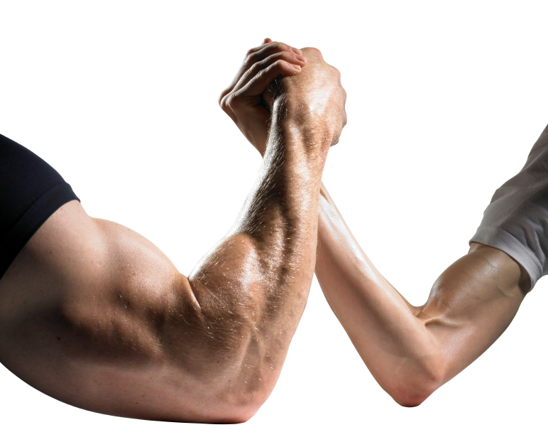6 Tips to Build Big Arms
